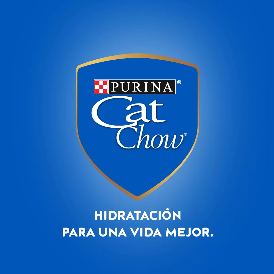 Imagen del producto 8