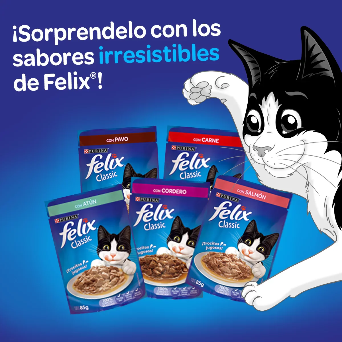 Imagen del producto 5
