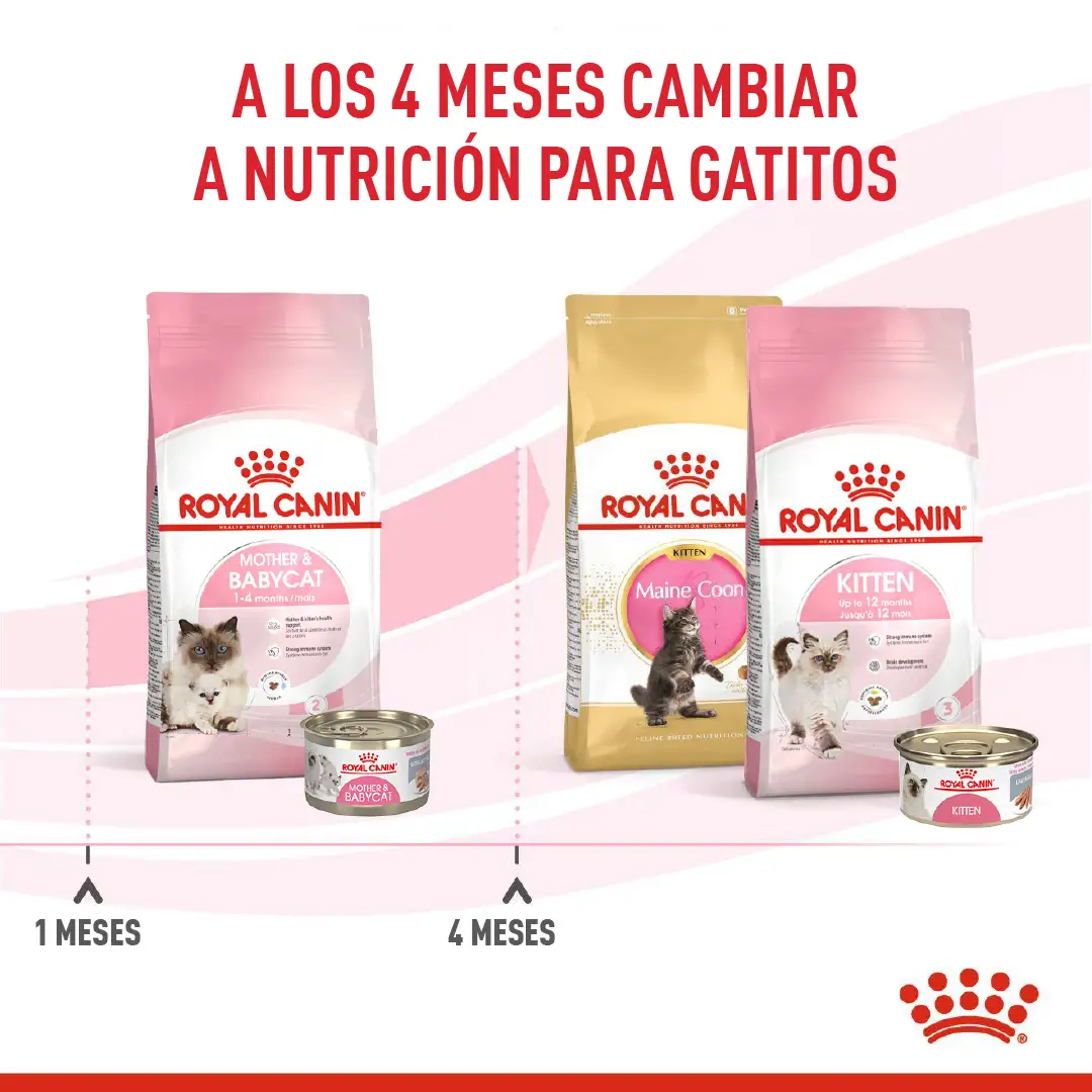 Imagen del producto 8