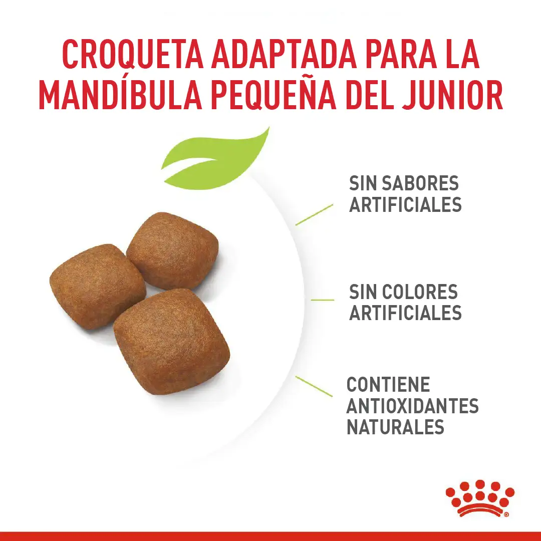 Imagen del producto 2
