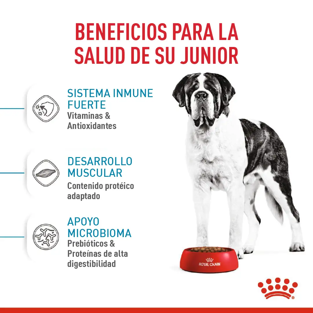Imagen del producto 3