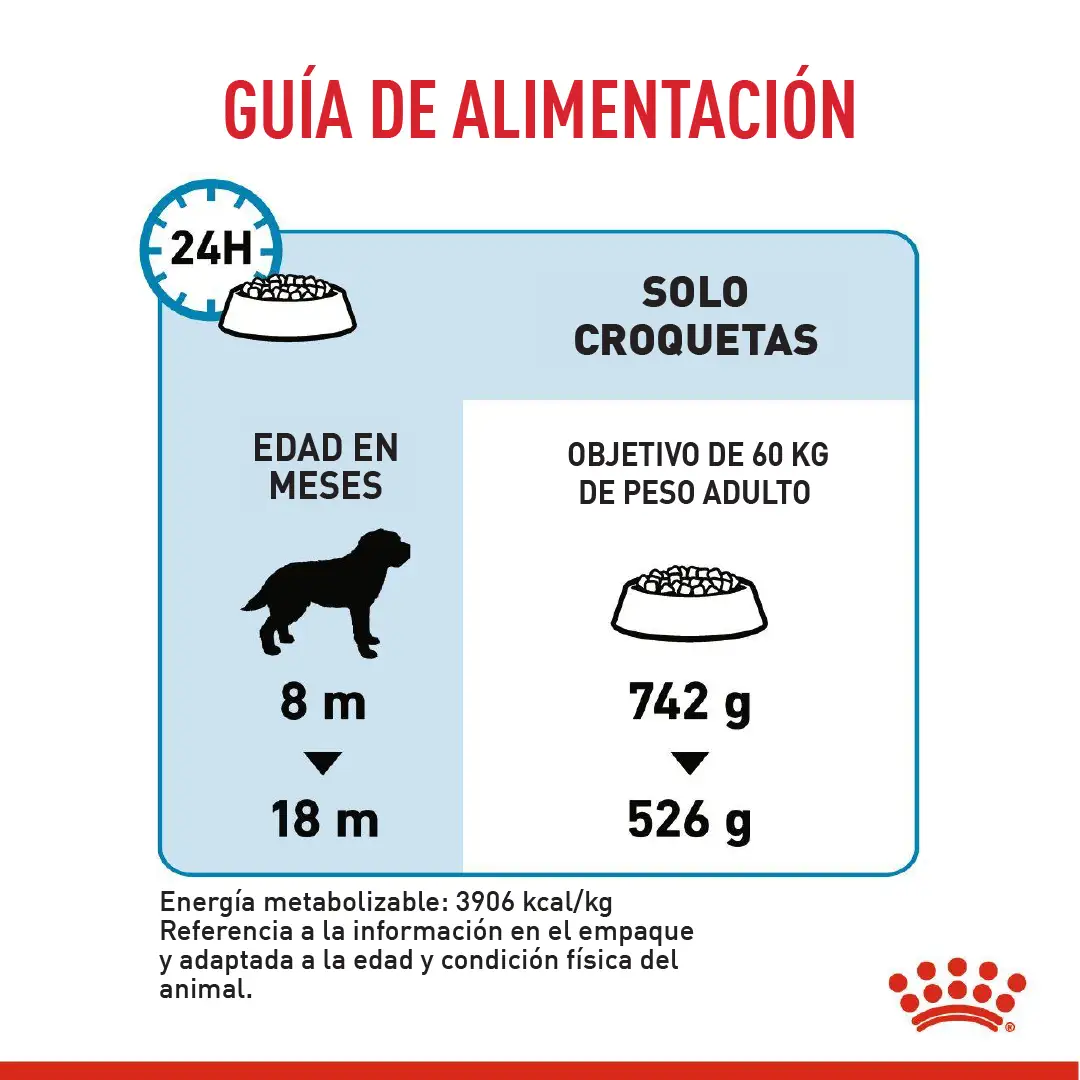 Imagen del producto 6