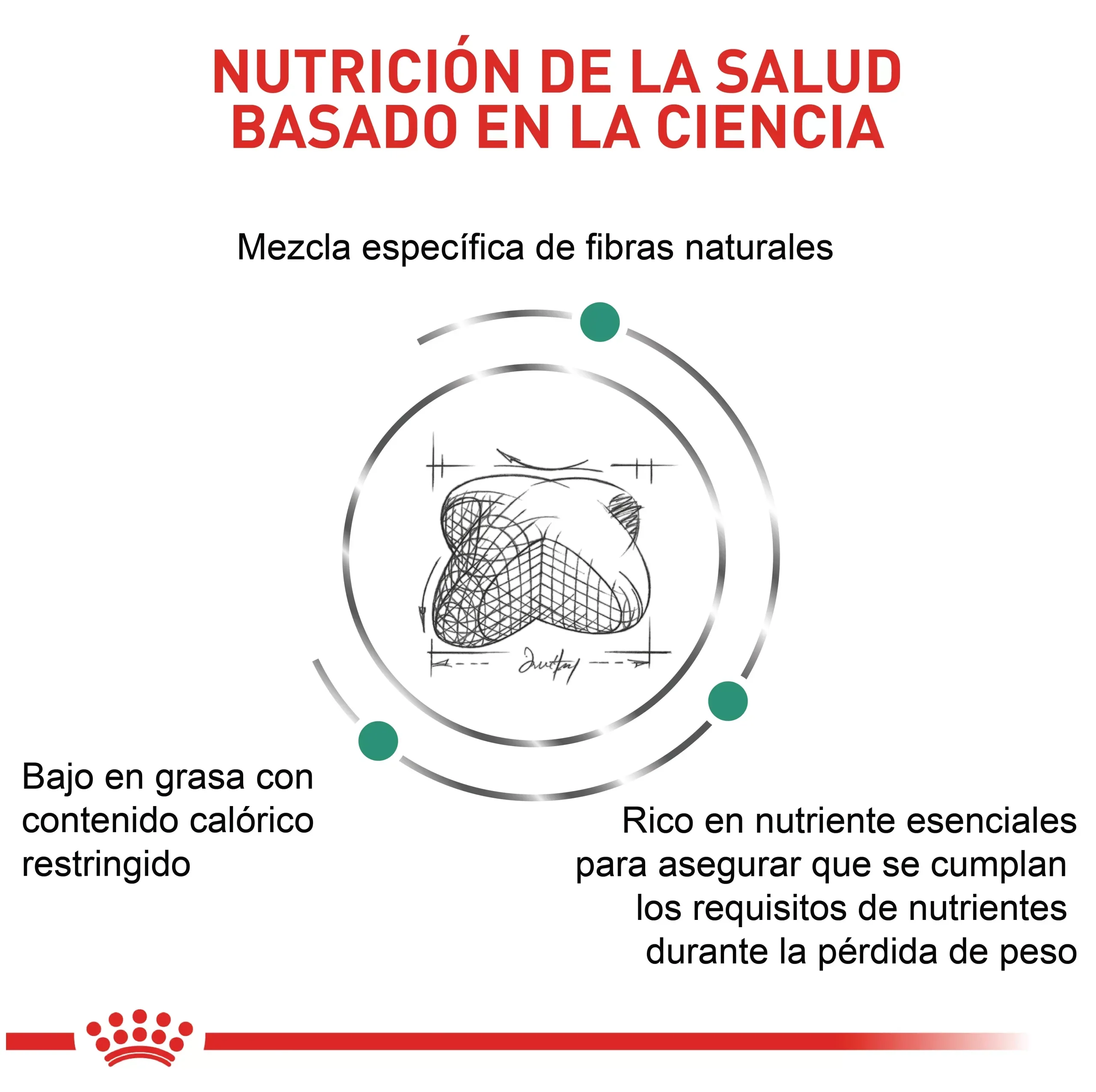 Imagen del producto 10