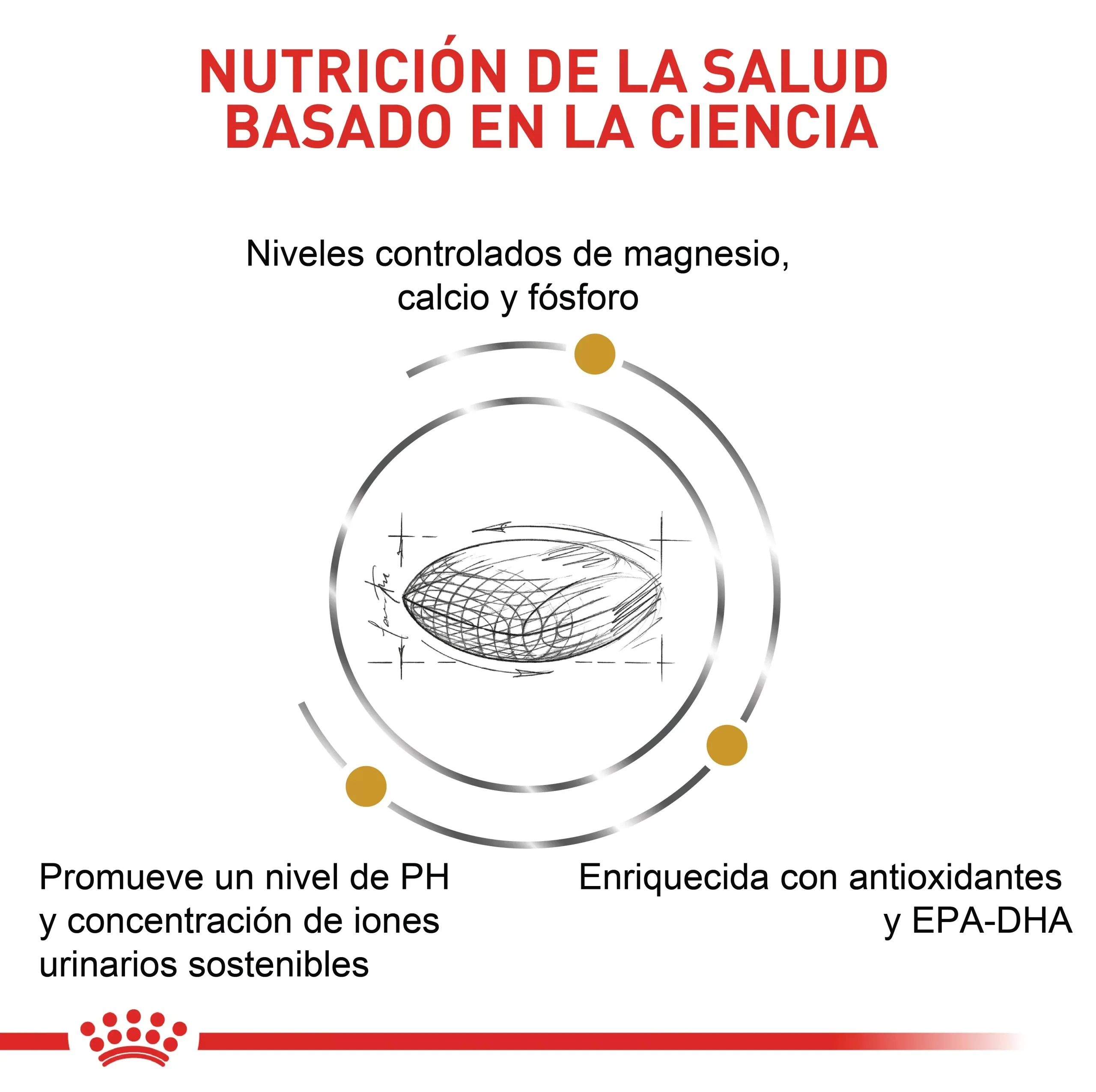 Imagen del producto 10