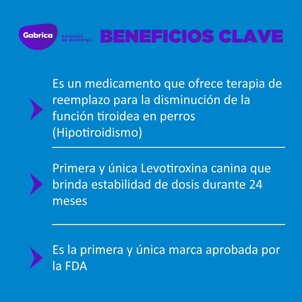 Imagen del producto 19