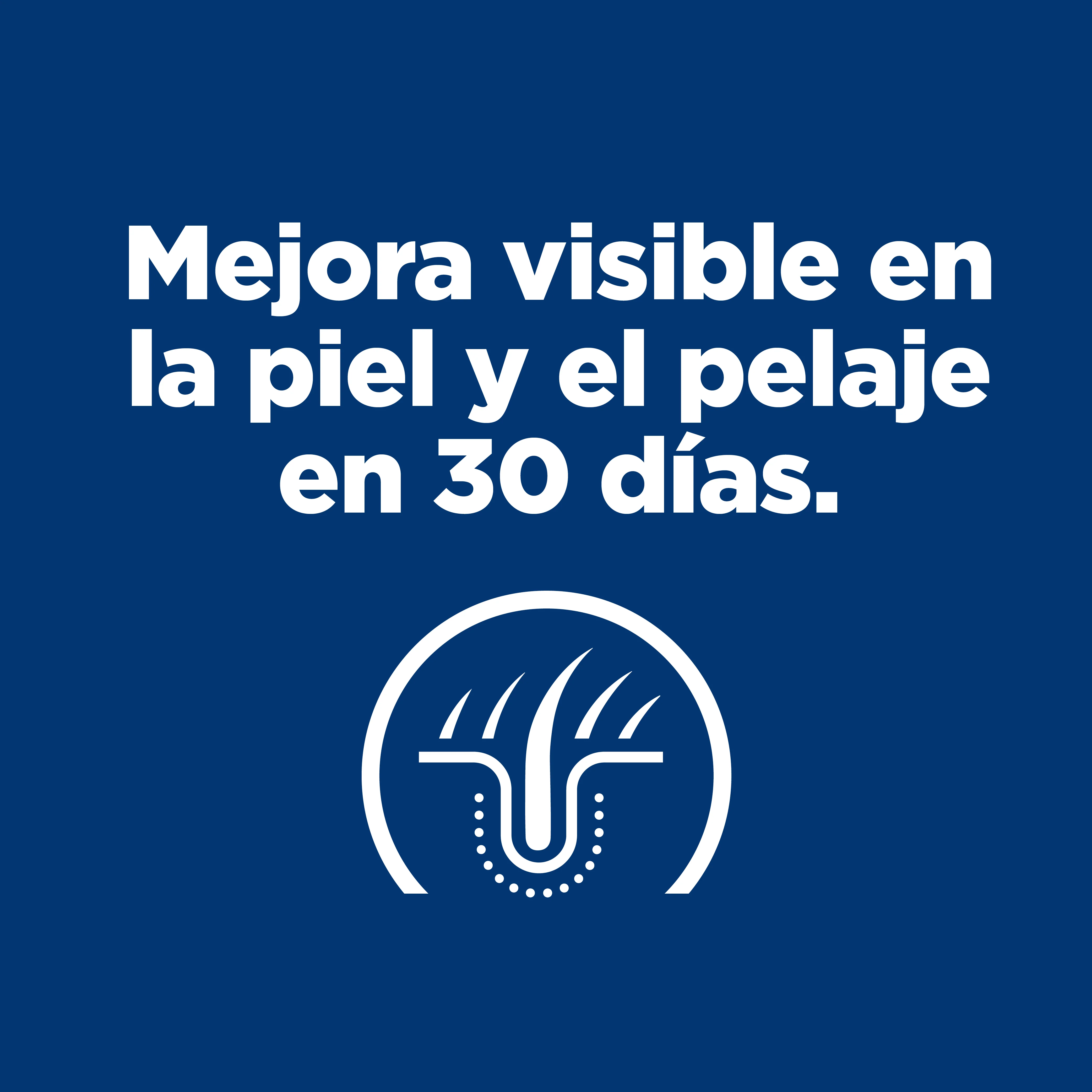 Imagen del producto 8