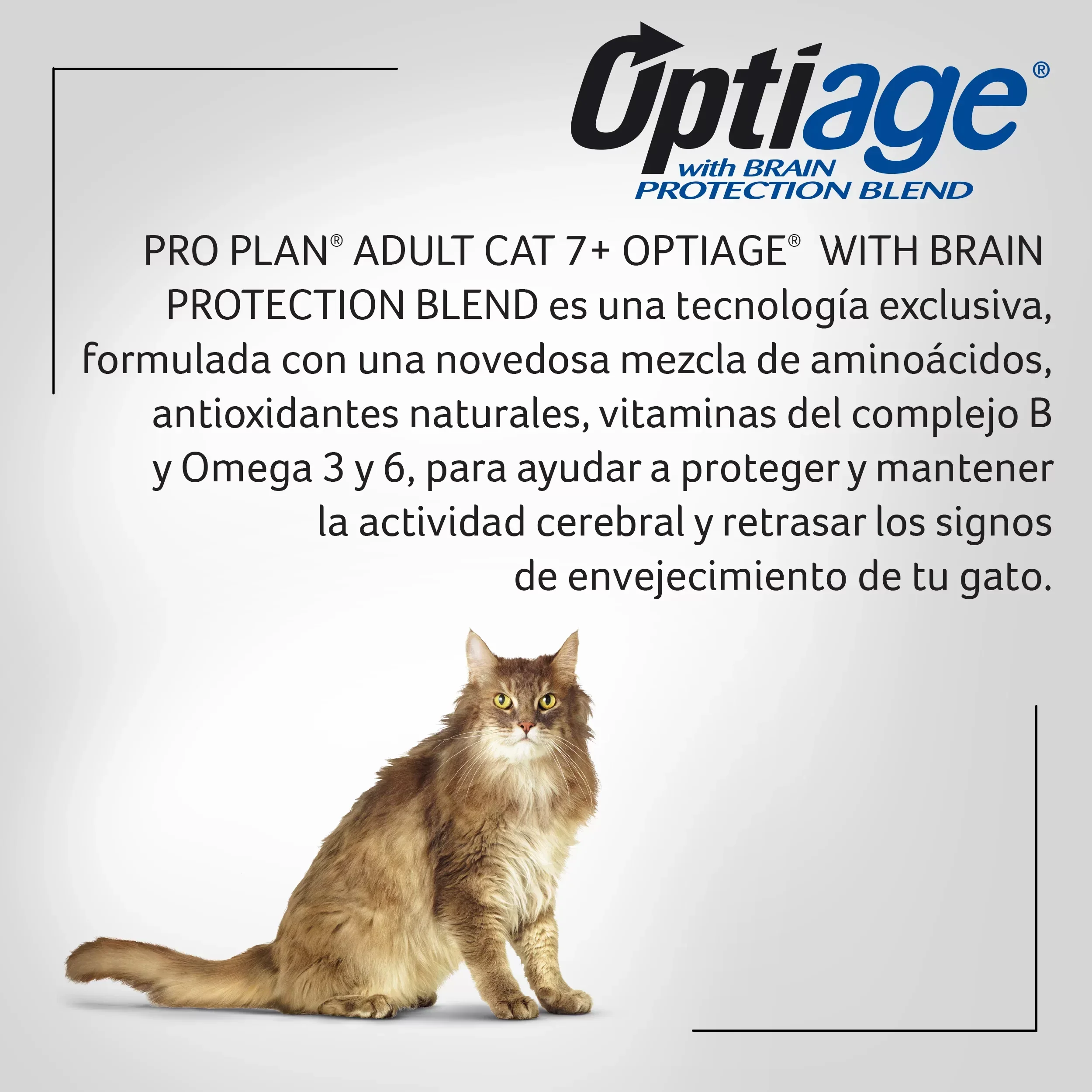 Imagen del producto 9