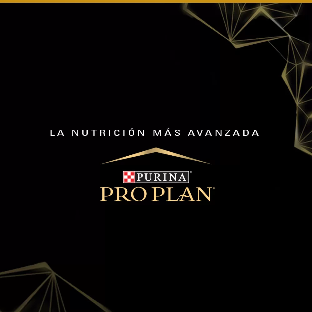 Imagen del producto 8