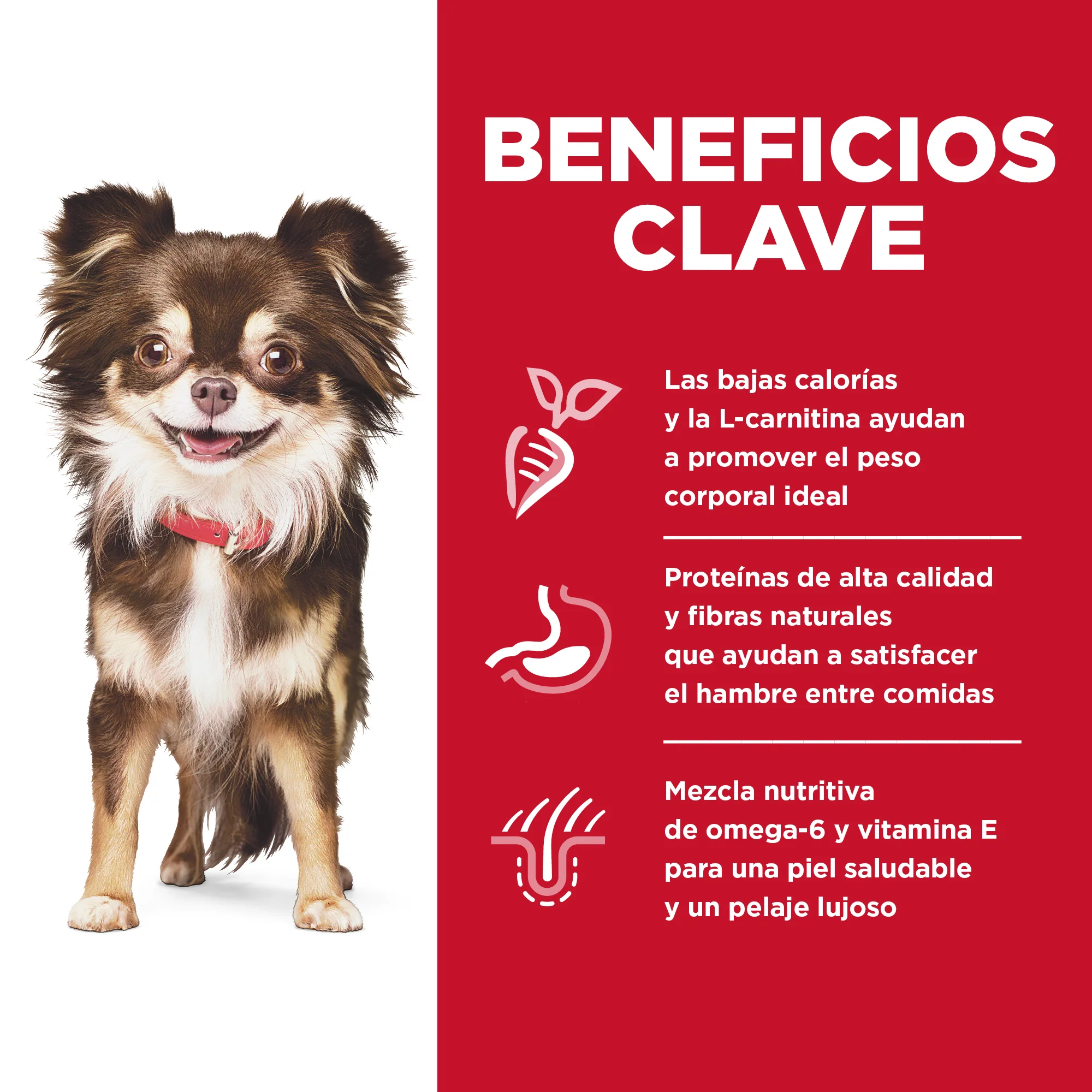 Imagen del producto 8