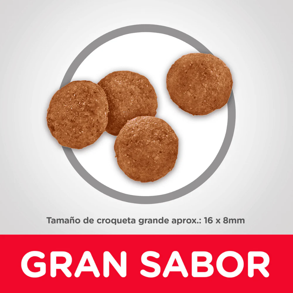 Imagen del producto 5