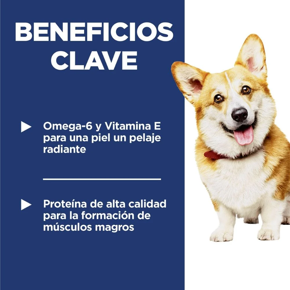 Imagen del producto 5