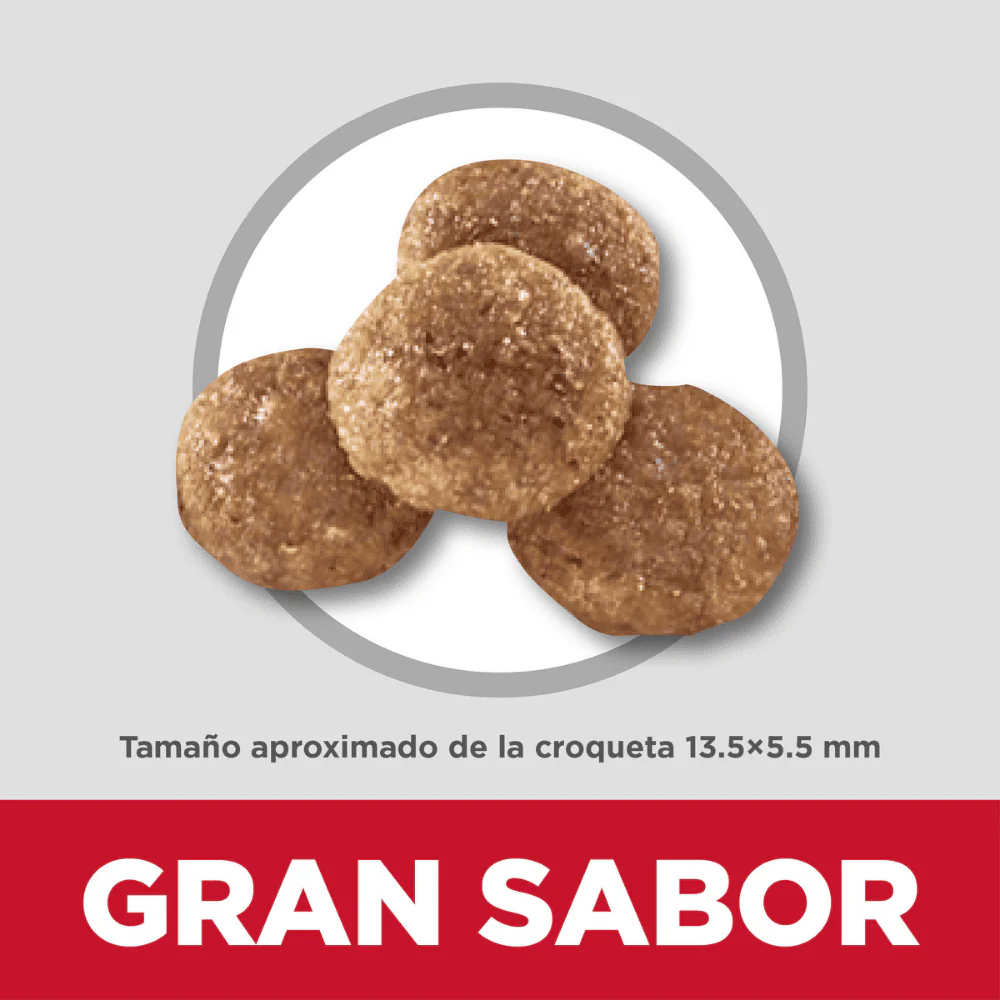 Imagen del producto 4