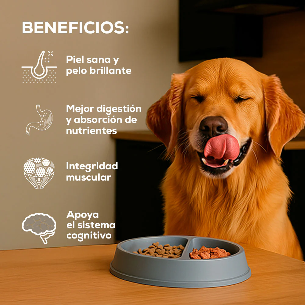 Imagen del producto 2