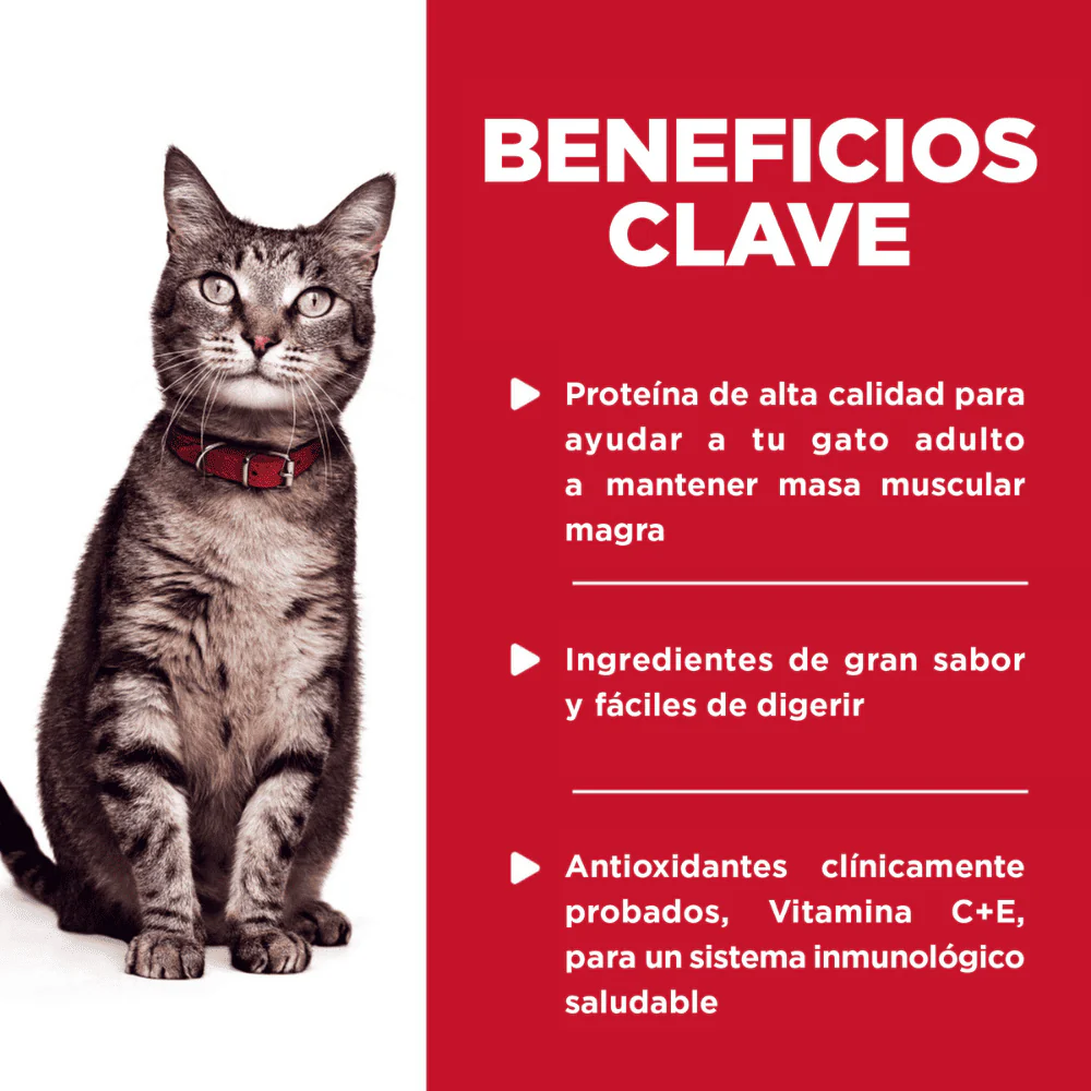 Imagen del producto 2
