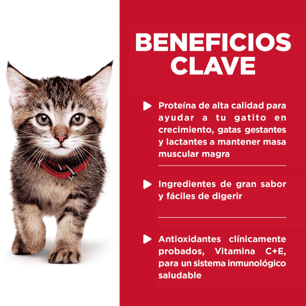 Imagen del producto 3